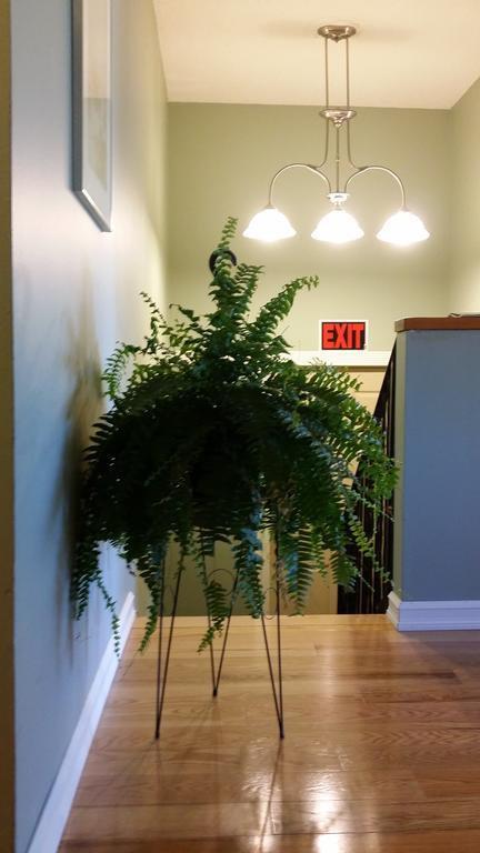 Eileen'S Bed & Breakfast/Guest House هاي ريفر المظهر الخارجي الصورة